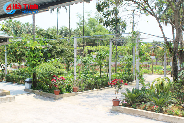 kham pha khu vuon mau dat giai a cua can bo tu phap thach tan