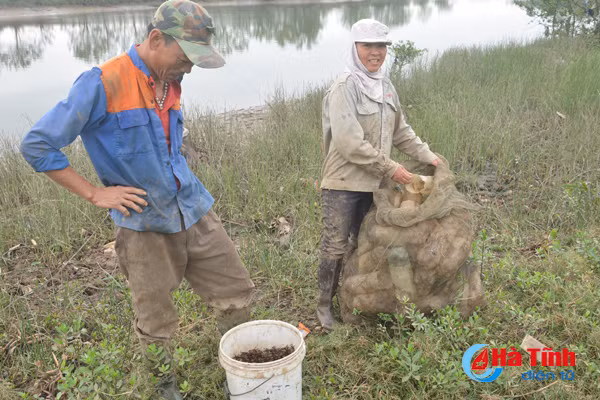 xem nong dan cam xuyen bay cay doc dao bang chai nhua
