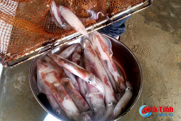 dac san muc nhay da co mat tai loc ha