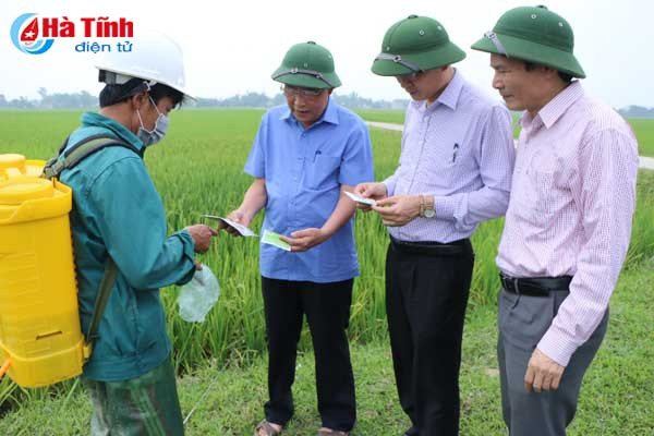 kiem tra sat sao dong ruong phong tru kip thoi dao on co bong