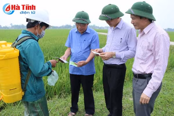 kiem tra sat sao dong ruong phong tru kip thoi dao on co bong