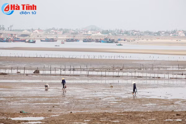 muu sinh theo con nuoc