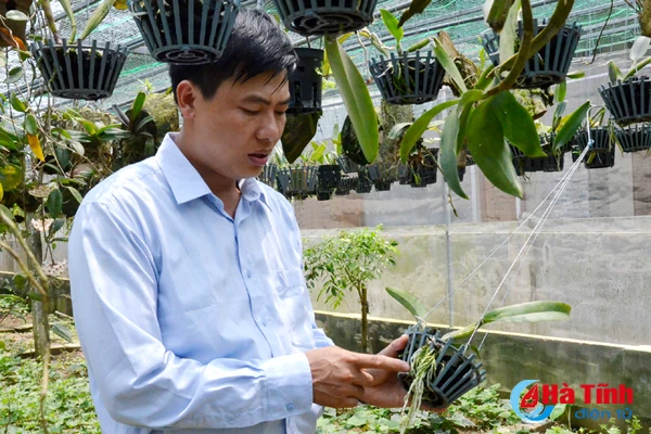 ban tay thay giao ti man danh thuc nhung mam lan