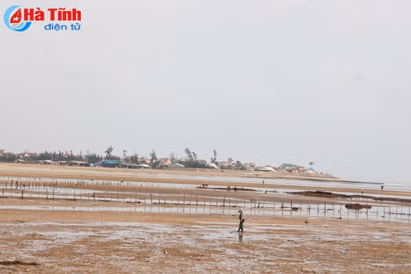 muu sinh theo con nuoc