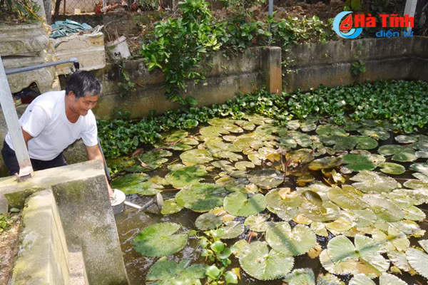 vung chung tich chien tranh tro thanh khu dan cu kieu mau