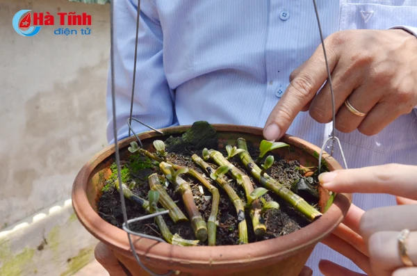 ban tay thay giao ti man danh thuc nhung mam lan