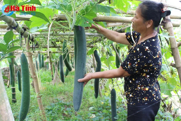 xe chua qua nha khong tiec huyen thoai lang k130 o ha tinh