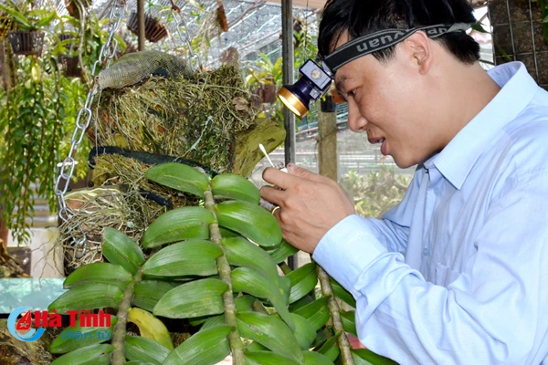 ban tay thay giao ti man danh thuc nhung mam lan