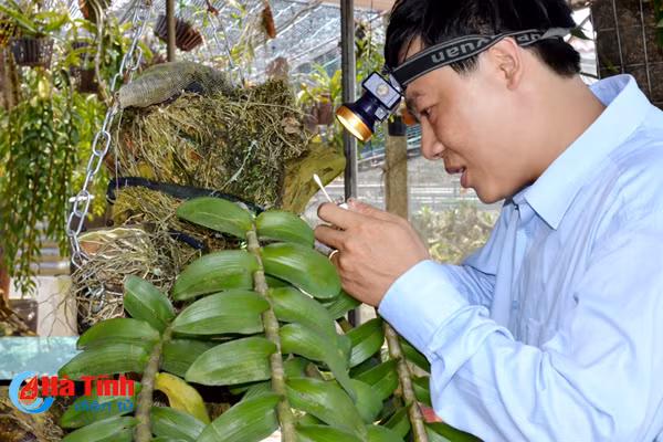 ban tay thay giao ti man danh thuc nhung mam lan