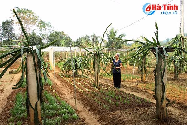 dam say nhung khu dan cu ntm kieu mau mien nui ha tinh