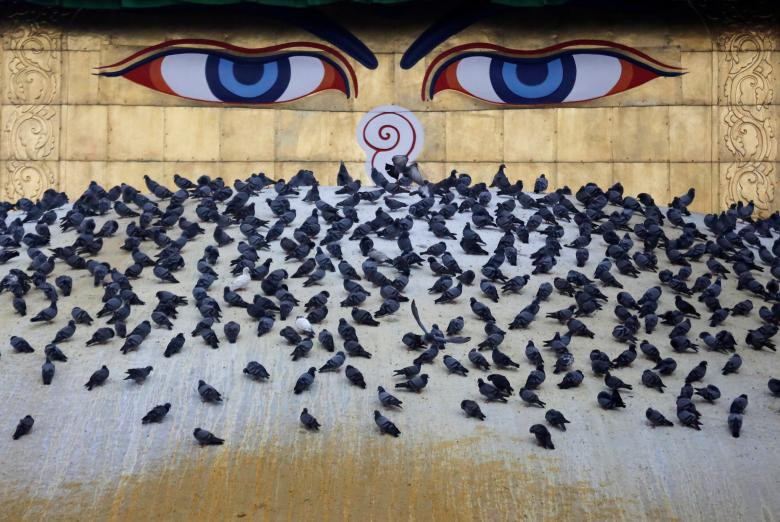 khong khi mung dai le vesak o khap noi tren the gioi