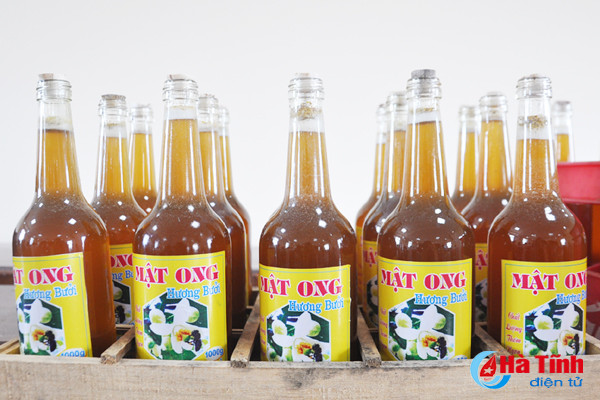Gỡ khó tiêu thụ nông sản cho hợp tác xã Hà Tĩnh ảnh 6 go kho tieu thu nong san cho hop tac xa ha tinh