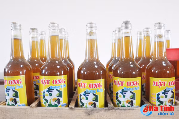 go kho tieu thu nong san cho hop tac xa ha tinh