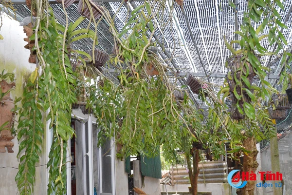 ban tay thay giao ti man danh thuc nhung mam lan