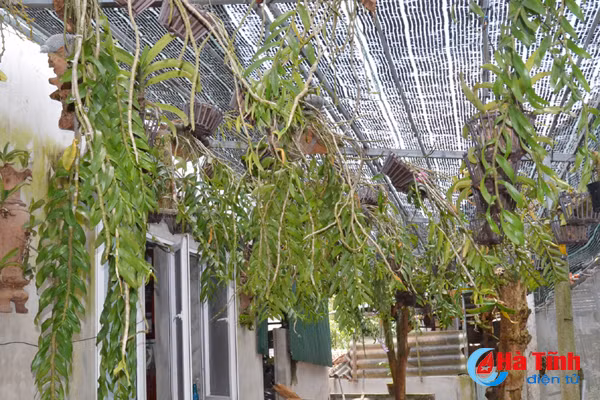 ban tay thay giao ti man danh thuc nhung mam lan