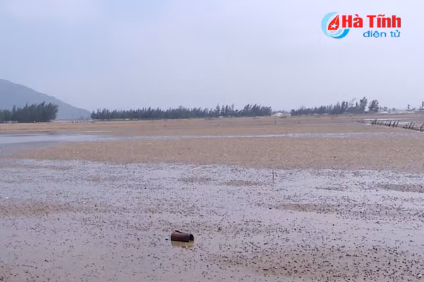 nuoi so tung bai gom giong tung kilogam