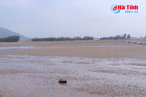 nuoi so tung bai gom giong tung kilogam