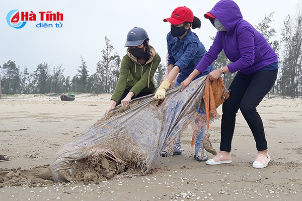 gan 2 700 luot doan vien thanh nien ha tinh ra quan ve sinh bai bien