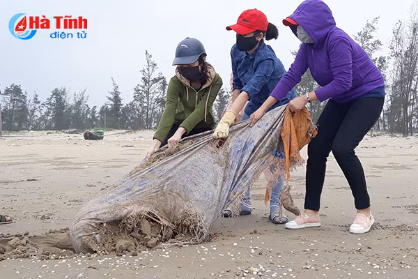 gan 2 700 luot doan vien thanh nien ha tinh ra quan ve sinh bai bien