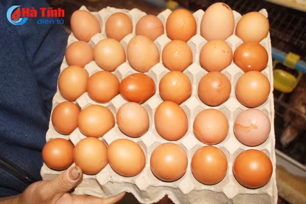 giay khai sinh cho nong san thach ha