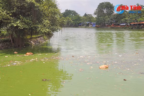 Video: Kinh hãi cảnh ô nhiễm hồ điều hòa đẹp nhất phố núi Hà Tĩnh