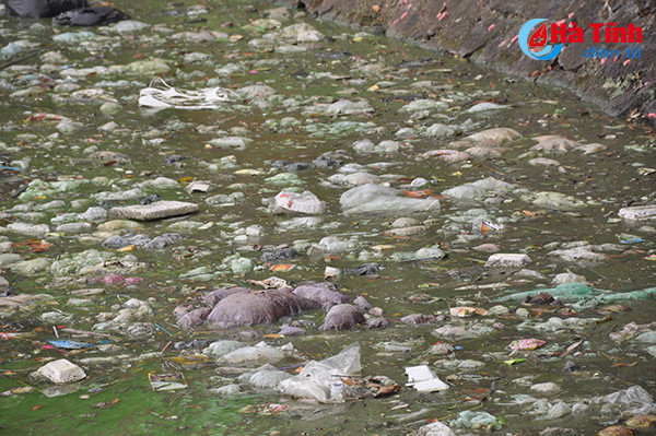 Video: Kinh hãi cảnh ô nhiễm hồ điều hòa đẹp nhất phố núi Hà Tĩnh