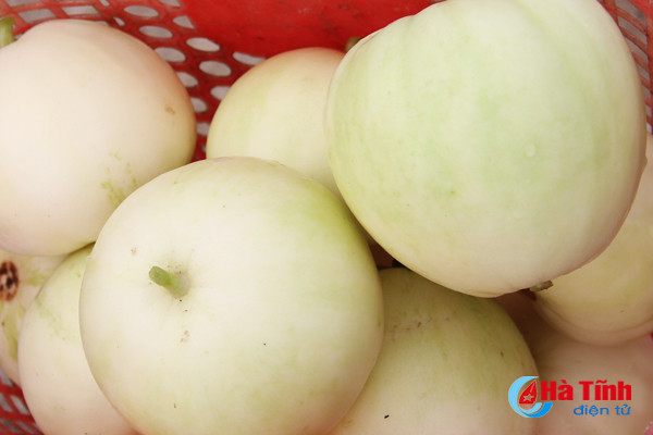 ve thinh loc thuong thuc dua le