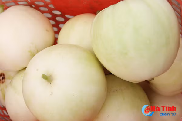 ve thinh loc thuong thuc dua le