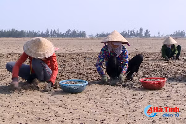 nuoi so tung bai gom giong tung kilogam