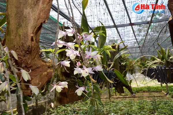 ban tay thay giao ti man danh thuc nhung mam lan