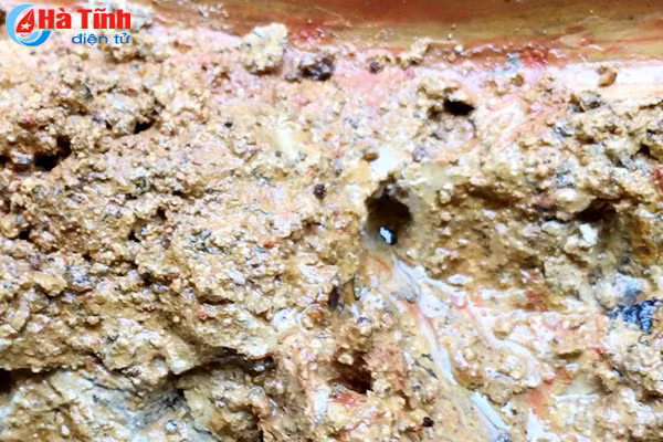 cac chuyen gia len phuong an xu ly gieng nhiem dau o huong trach