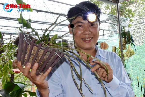 ban tay thay giao ti man danh thuc nhung mam lan