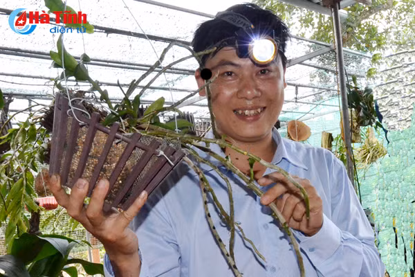 ban tay thay giao ti man danh thuc nhung mam lan