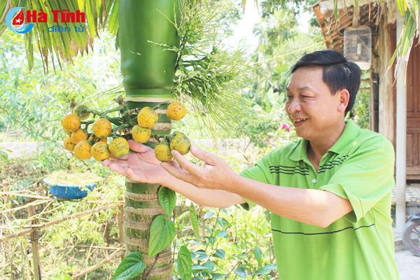 kham pha khu vuon mau dat giai a cua can bo tu phap thach tan