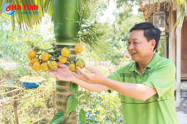 kham pha khu vuon mau dat giai a cua can bo tu phap thach tan