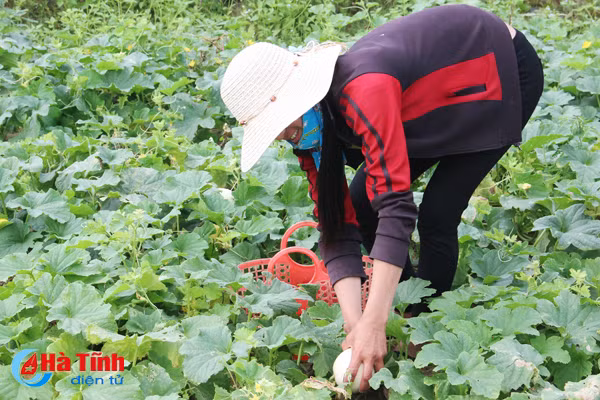 ve thinh loc thuong thuc dua le