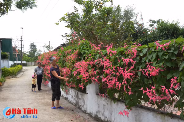 vung chung tich chien tranh tro thanh khu dan cu kieu mau
