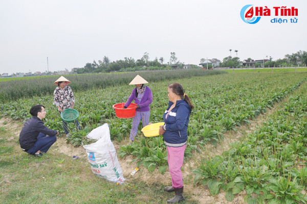 duoc mua duoc lieu nong dan cam phuc mung nhu bat duoc vang