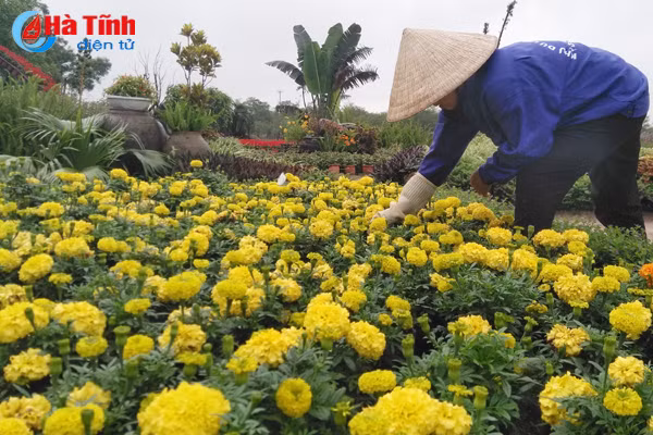 photo nhung nguoi lao dong ha tinh khong co ngay 1 5