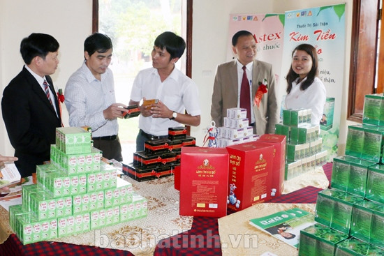 khanh thanh khu du lich sinh thai hai thuong