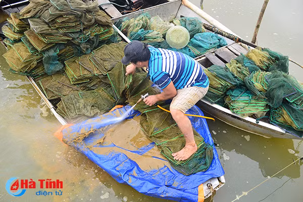 lang chai nho voi nghe dat lu bat tom