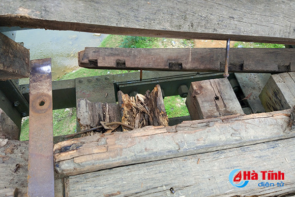 video nin tho qua cau loc yen