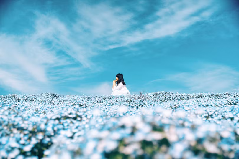 bien hoa mau thien thanh tuyet dep trong cong vien o nhat ban