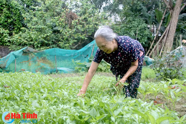 tran danh nui nai qua ky uc cua nu dan quan