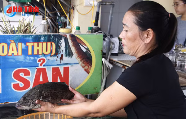 photo thoi tiet khong thuan khach van nuom nuop den thien cam