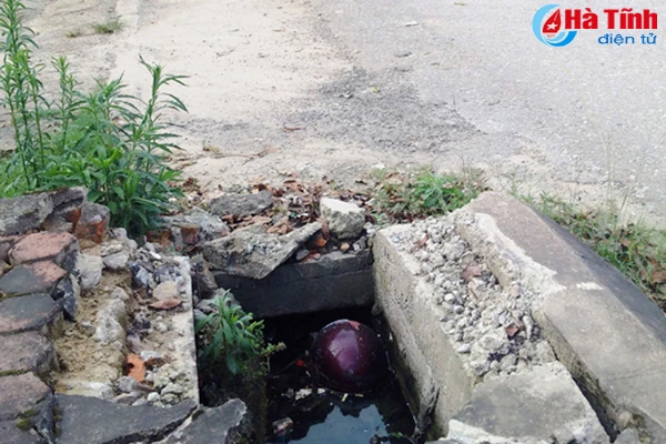 ho ga mat nap bay nguoi tham gia giao thong