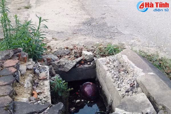 ho ga mat nap bay nguoi tham gia giao thong