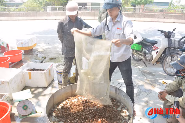 xem nong dan cam xuyen bay cay doc dao bang chai nhua