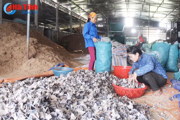 giay khai sinh cho nong san thach ha