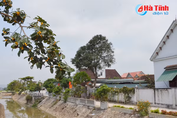 vung chung tich chien tranh tro thanh khu dan cu kieu mau